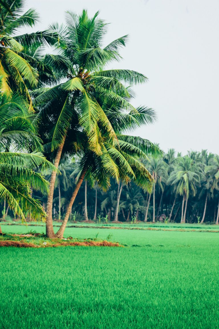 buying agricultural land